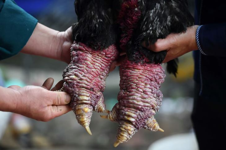 Kaki Gergasi ‘Ayam Naga’ Makanan Pelik Jadi Makanan Istimewa Tahun Baru
